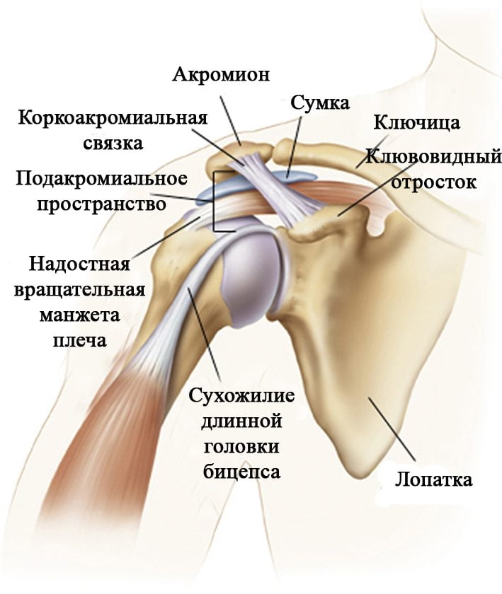 Периартрит плечевого сустава симптомы