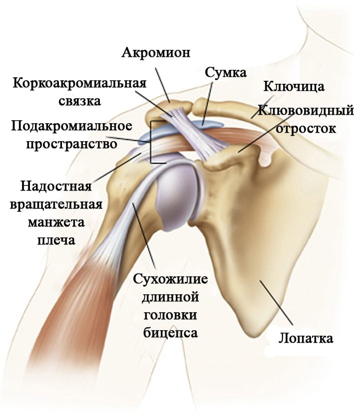 Лечение плечевого сустава