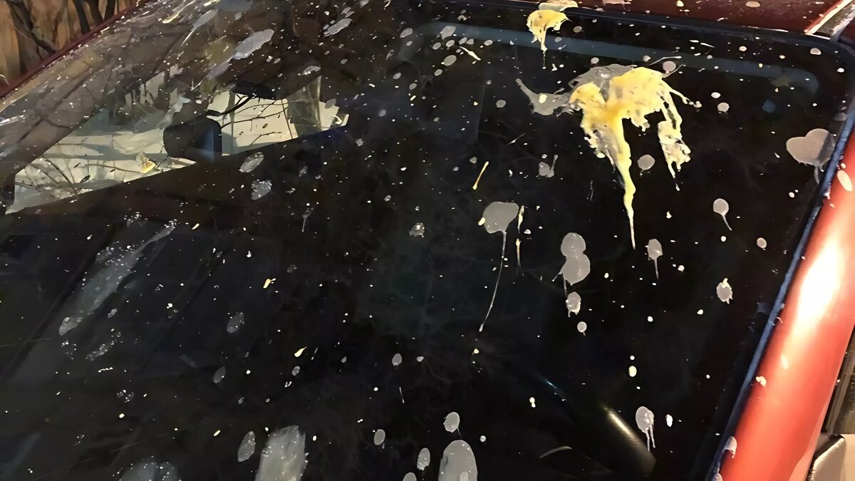     Горожане предполагают, что развлечься «на миллион» могли дети: фотографии появились в соцсетях.