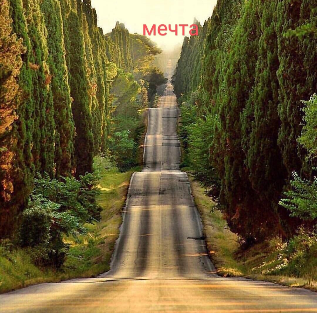 Путь к своей мечте долгий, сложный, но возможный! 