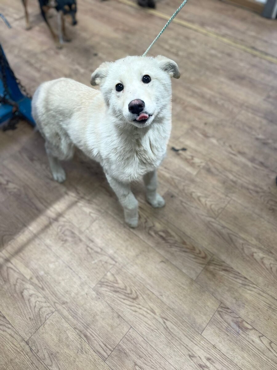 Эта малышка готовится к вылету 