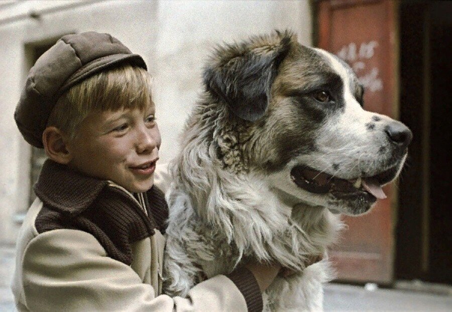 Фото из свободного доступа сети Интернет
