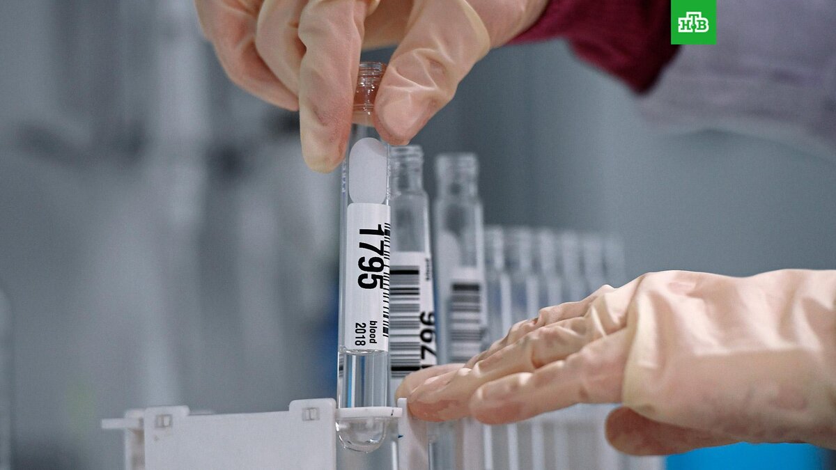    Фото: РИА Новости © 2024, Григорий Сысоев