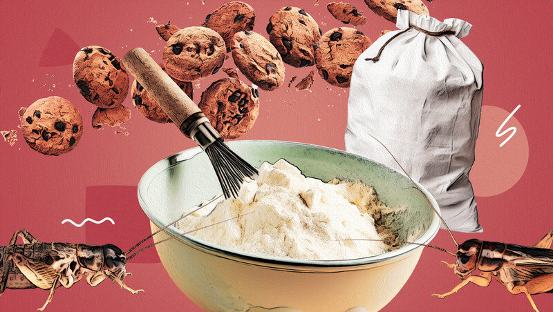 Фото: Сергей Лычак / ИА «Победа26» 