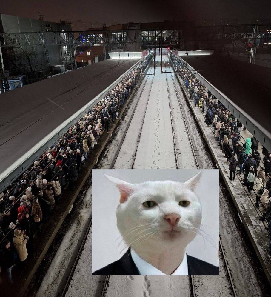 Эмцэдэшэчка-4 и утренний коллапс :) Фото из группы города