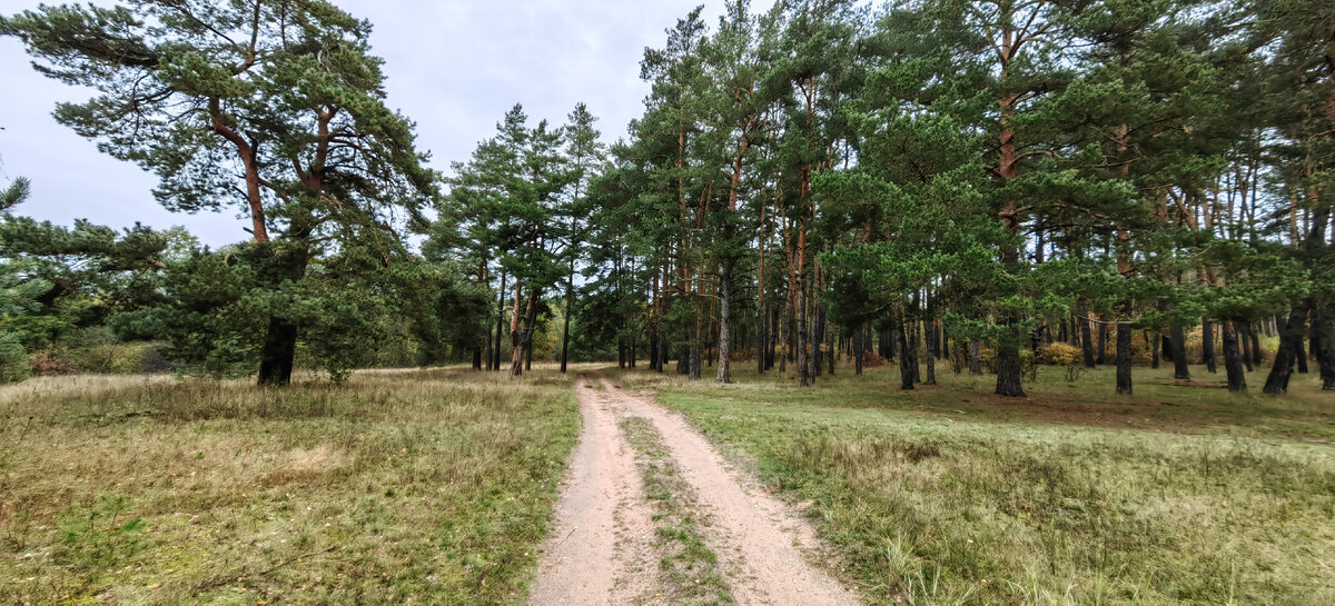 Приокско террасный