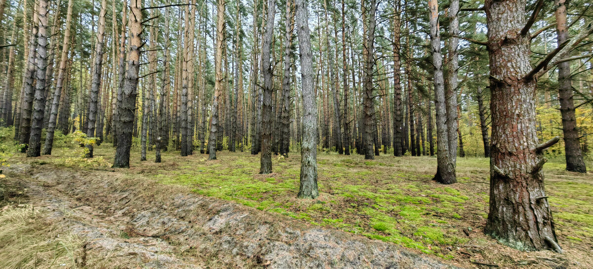 Террасный заповедник