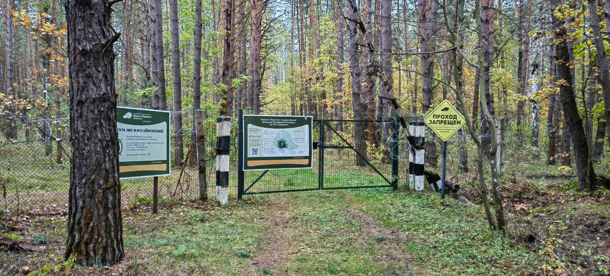 Природная зона заповедник