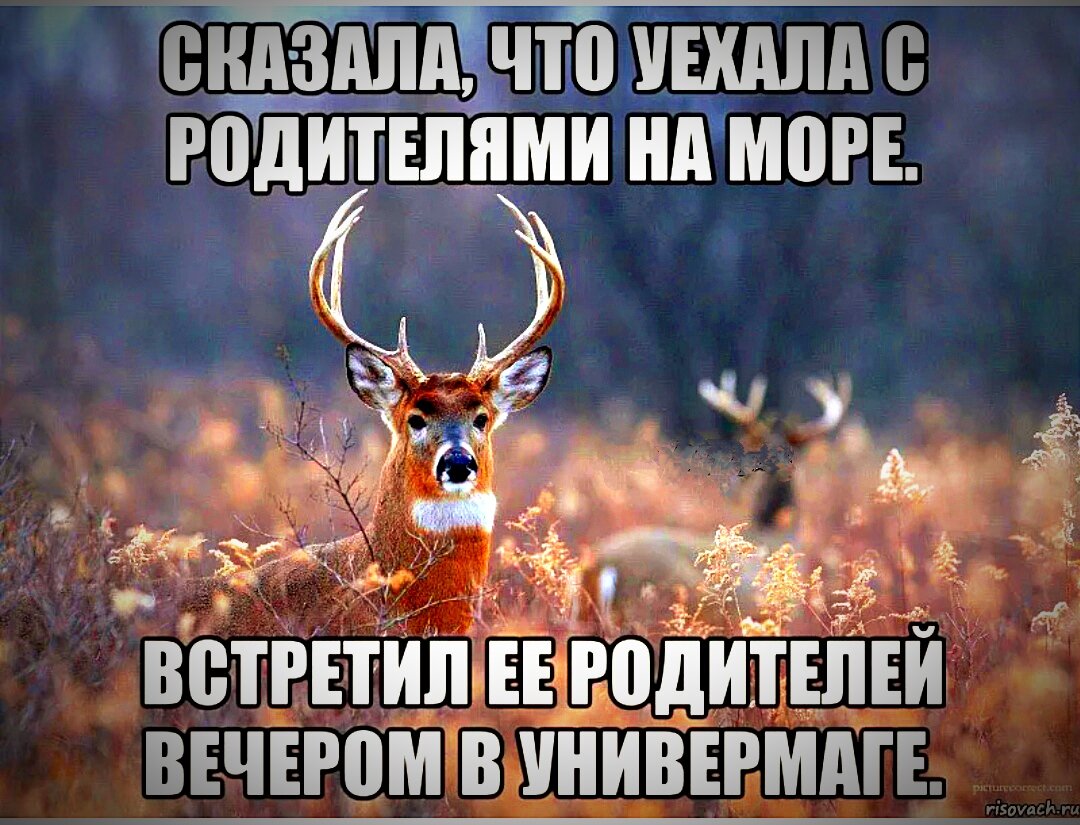 Куда сегодня можно