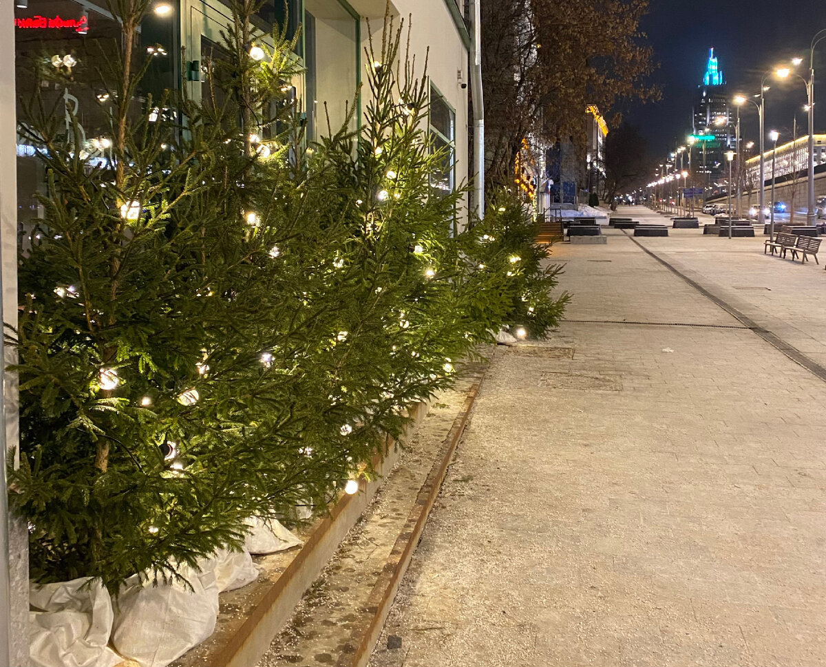 Москва новогодняя. Фото автора 