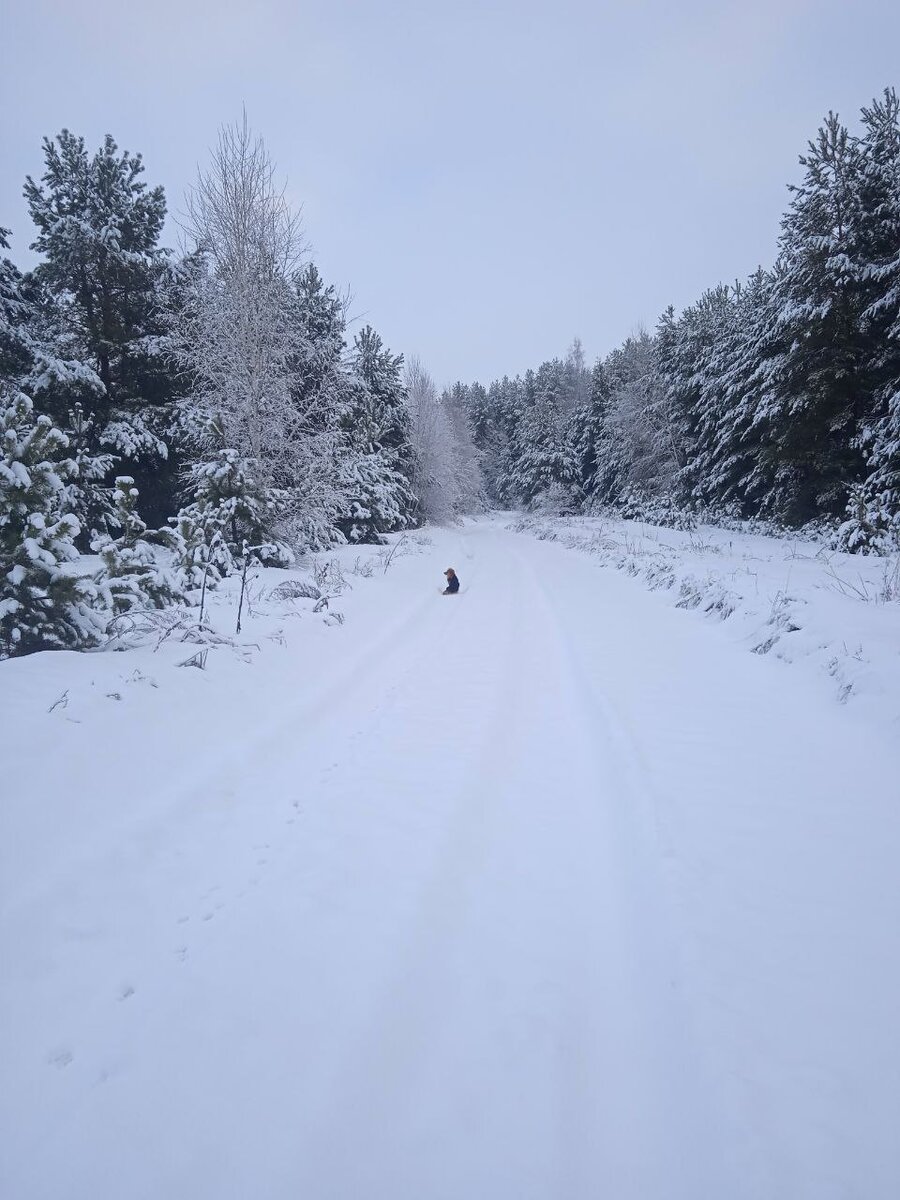 Прогулки на свежем воздухе для детей. Вечерняя прогулка. Девочки гуляют. Прогулки на свежем воздухе для детей. Гулять вдоль.