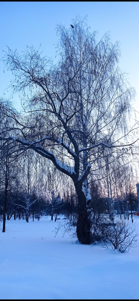 Фото из личного архива