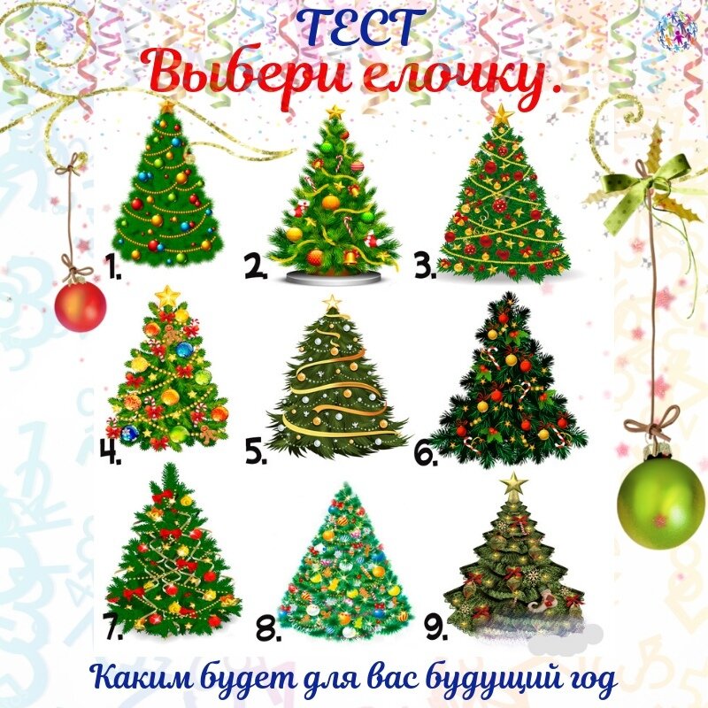 Какие бывают елки. Какие бывают елки