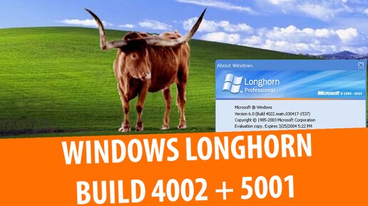 Обзор Windows Longhorn build 4002, 4005, 4081 и 5001