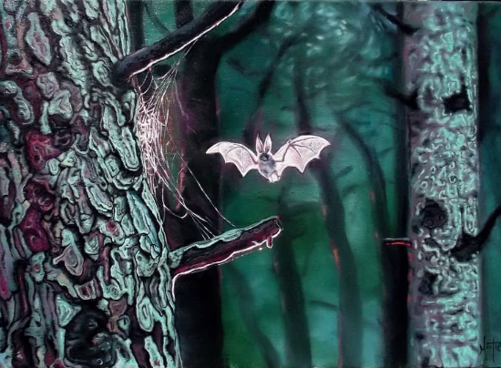 Источник    изображения ;  covk.