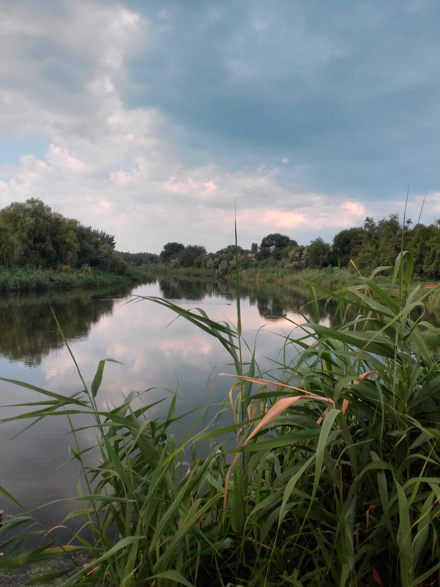 Фото к книге "Первокурсник" Автор повести В.А.Галашевский 5 января 2024 года