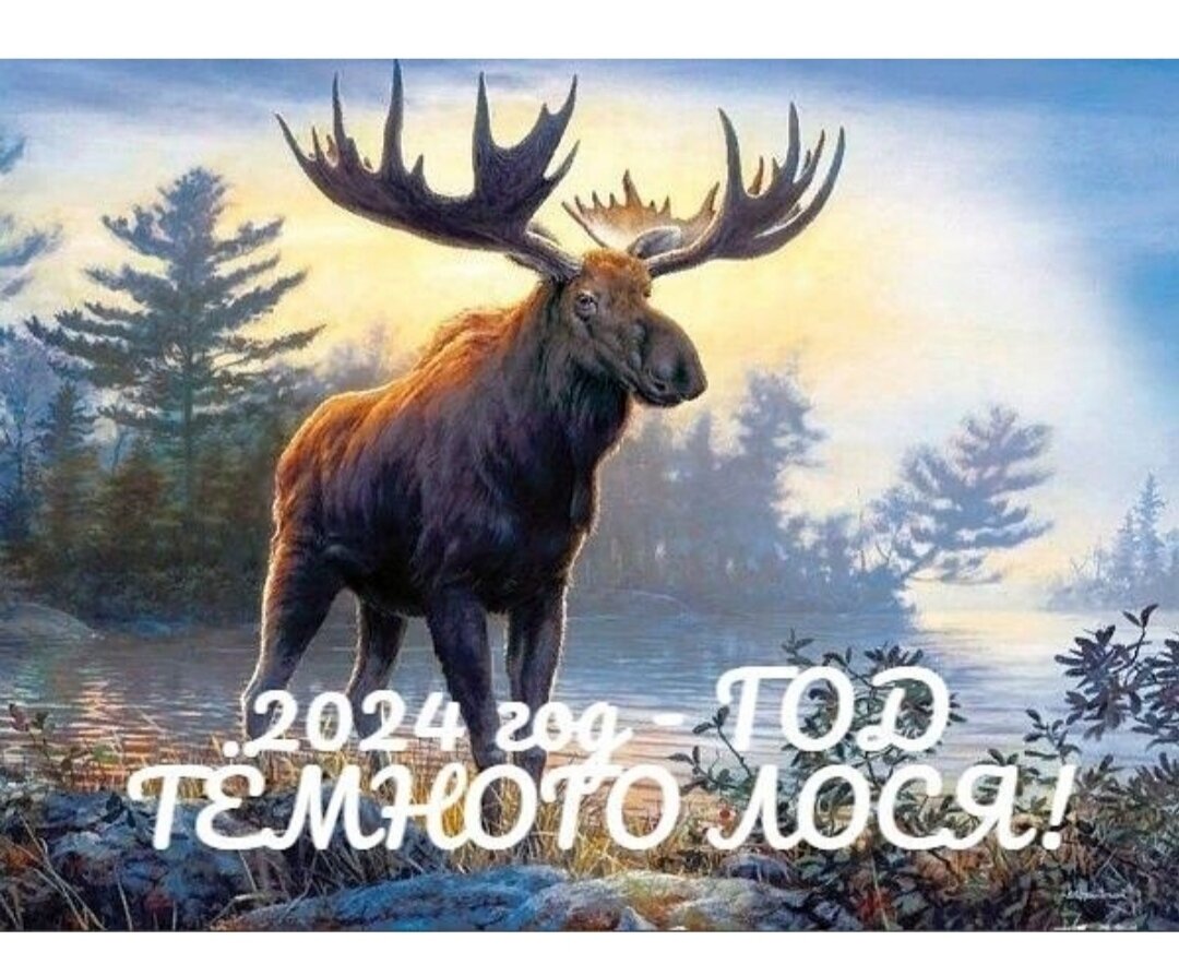 Год тёмного лося