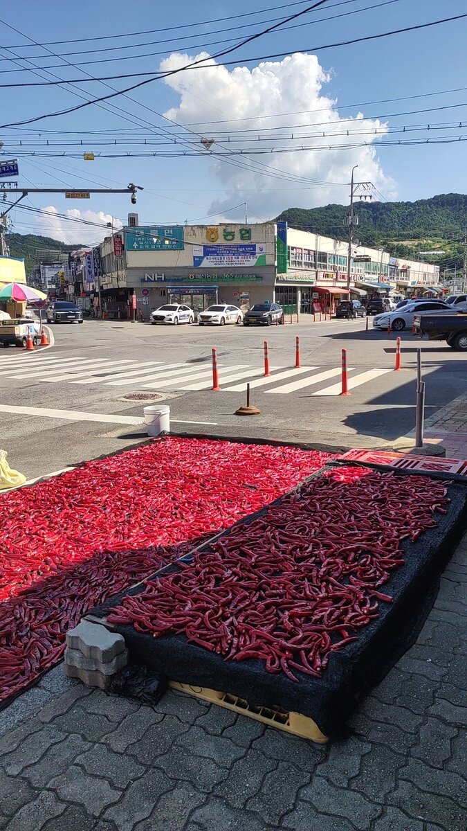 Впереди видно базар внутри которого был наш магазин. С виду не скажешь но это туристическое место, сюда постоянно приезжают с разных городов Кореи так как внутри находятся кафе от известного повара ПэкЧонВона.