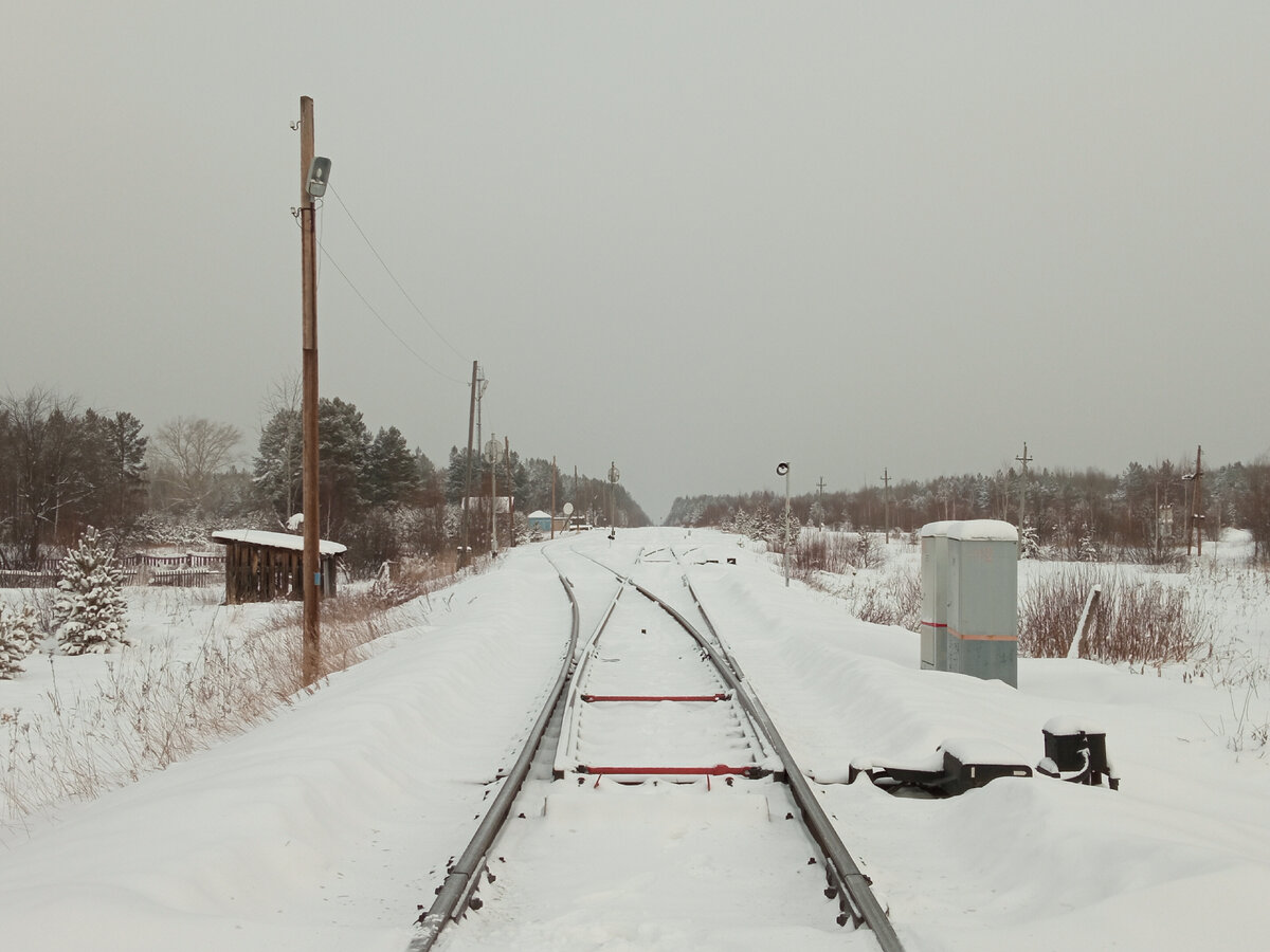 Поездка в вымершую деревню в Свердловской области | SWNTrains | Дзен