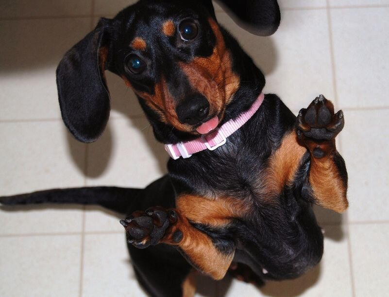 Фото из свободного доступа