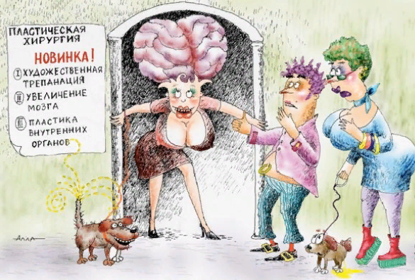 Источник https://vk.com/id456413904