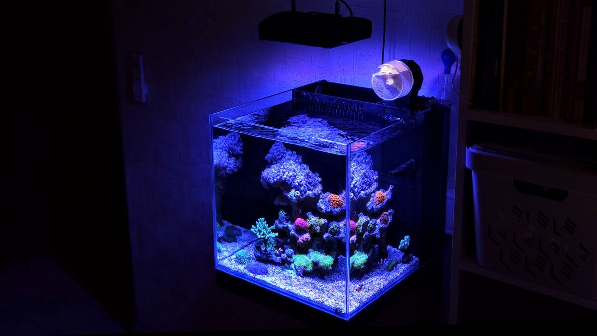 Greenart marine Junior 