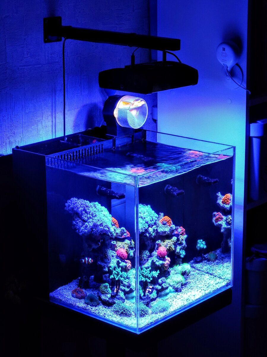 Greenart marine Junior 