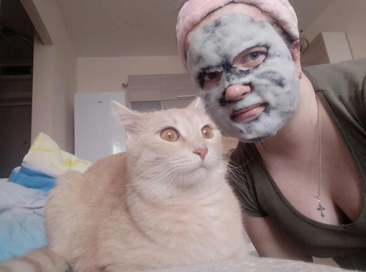 Котят 18 штук. Коты 18. Коттой. Котик 18. 18 котиков.