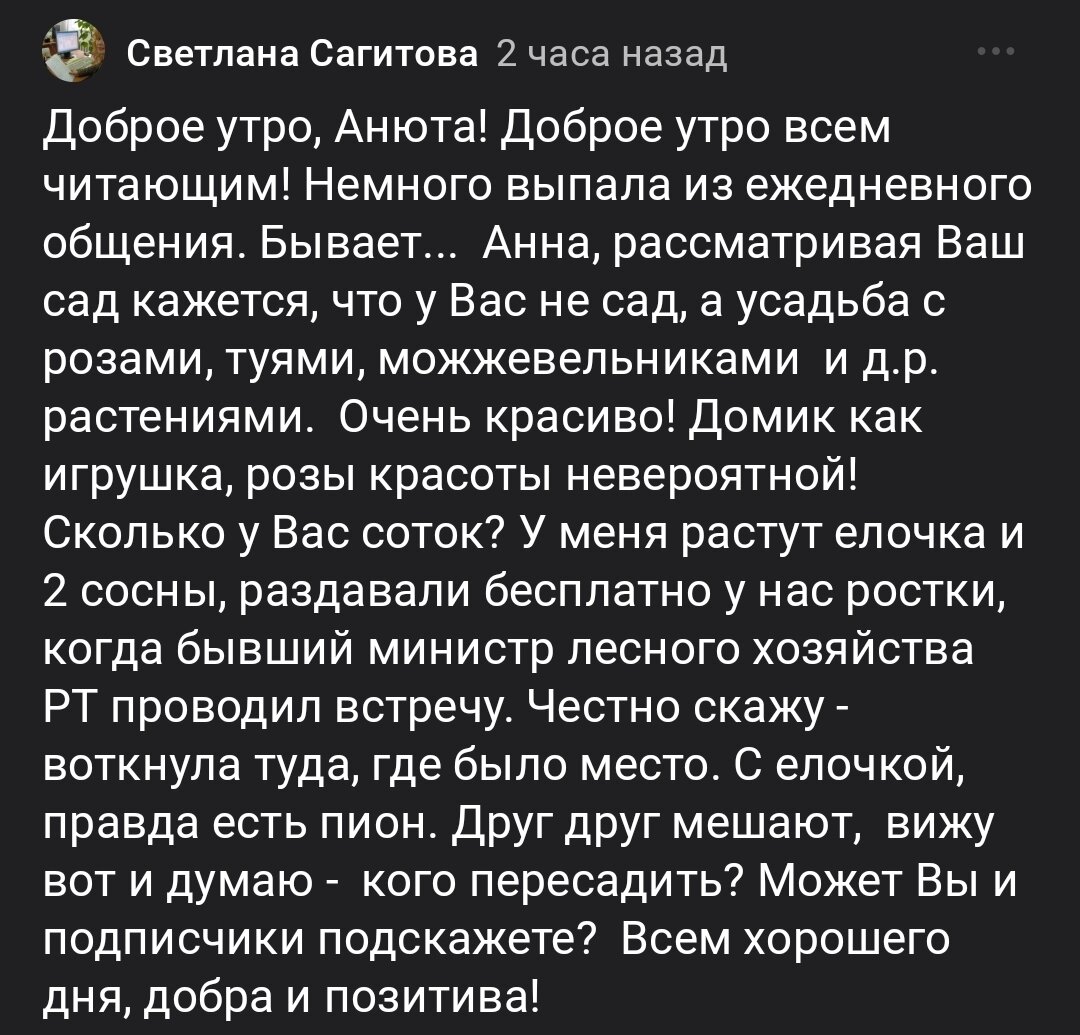 Про ёлочки с пионом поговорим отдельно. А пока прогуляемся по моей "Усадьбе")