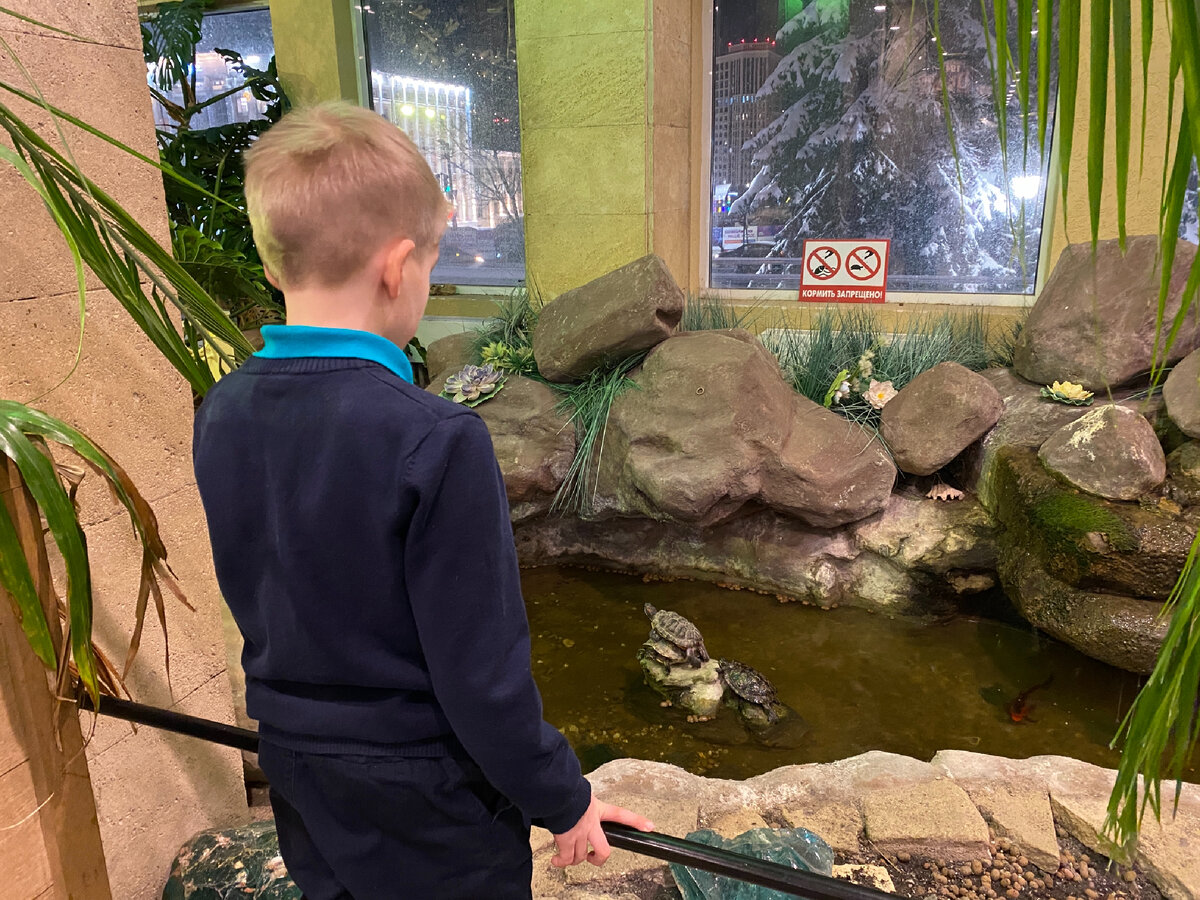 Фото автора. Внутри в ТЮЗе нам тоже очень нравится. Даже живность есть ))