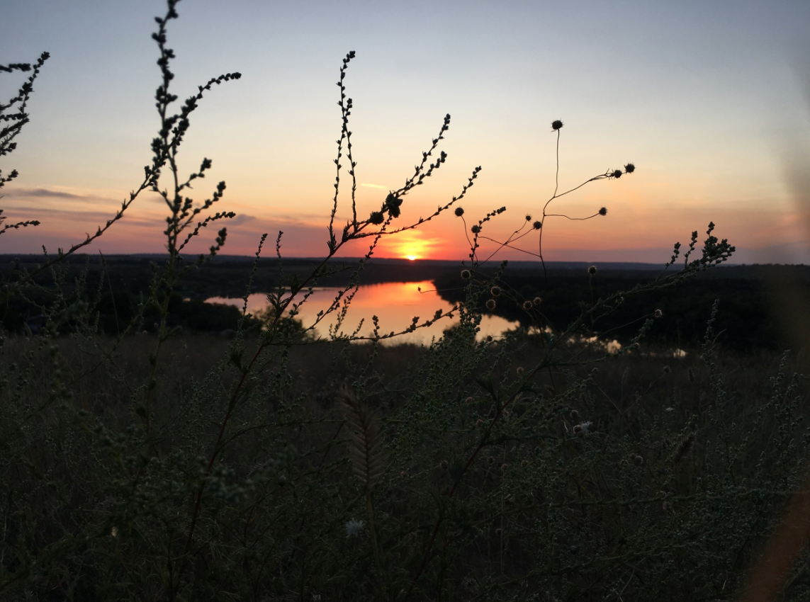 Усни трава песня