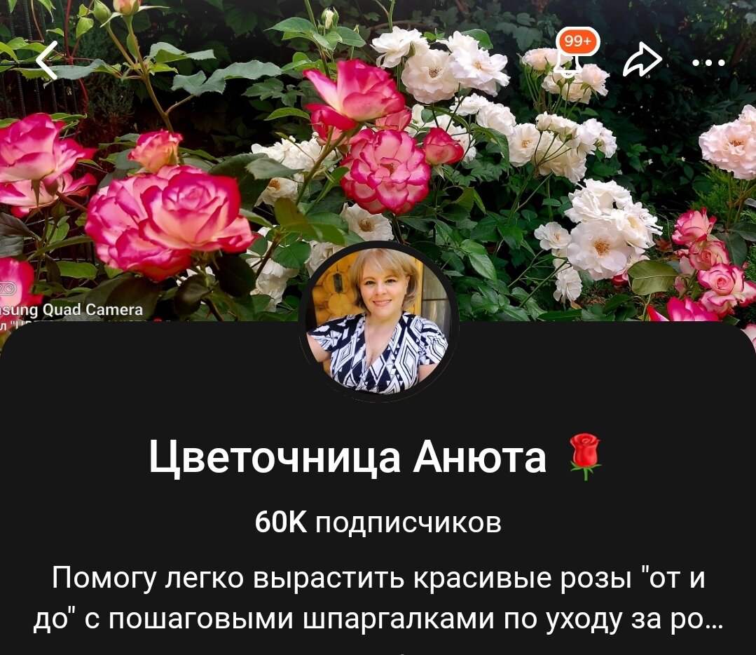 05 января 2024 год