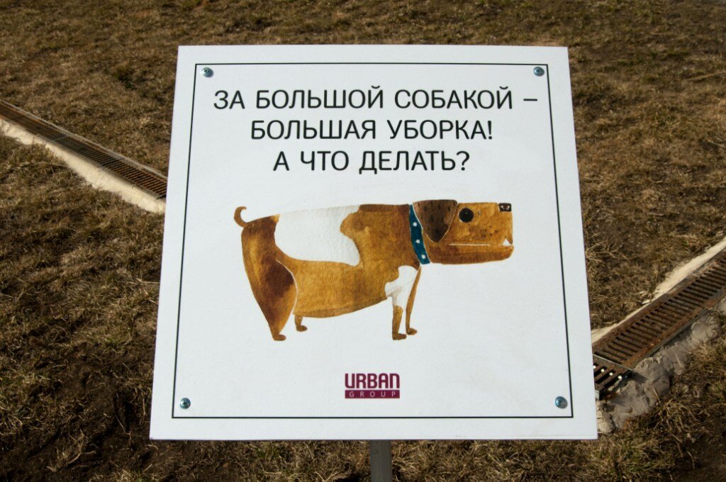 источник: licey2.ru