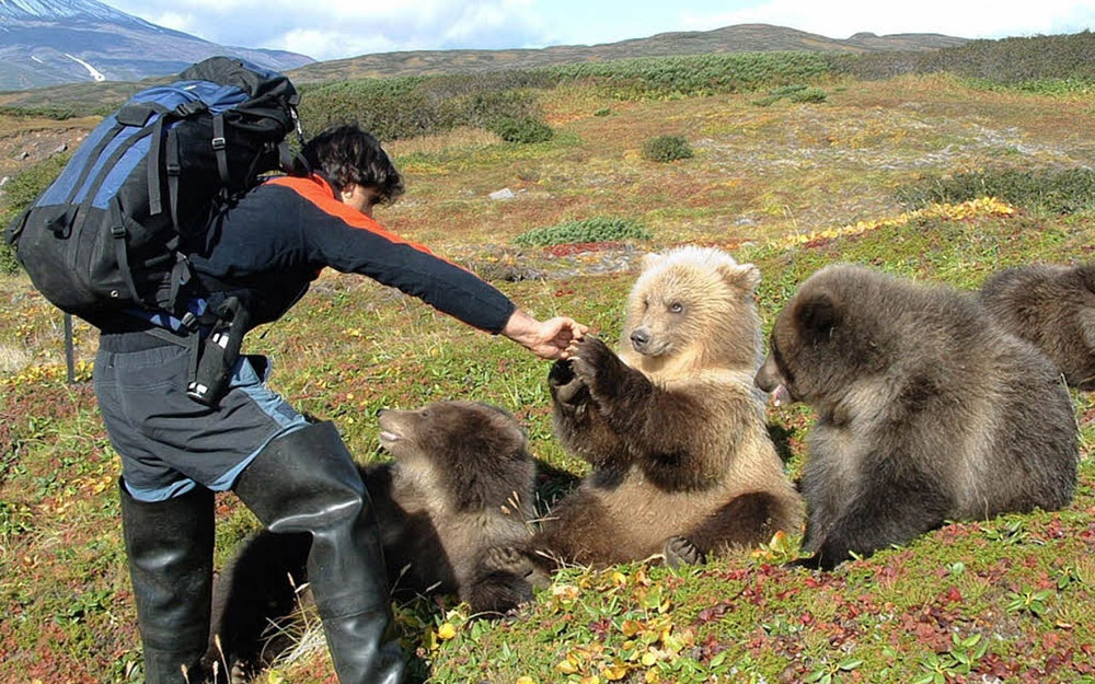 Ого! Какой странный лысый и тощий медведь! 