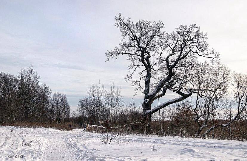 Км петербург