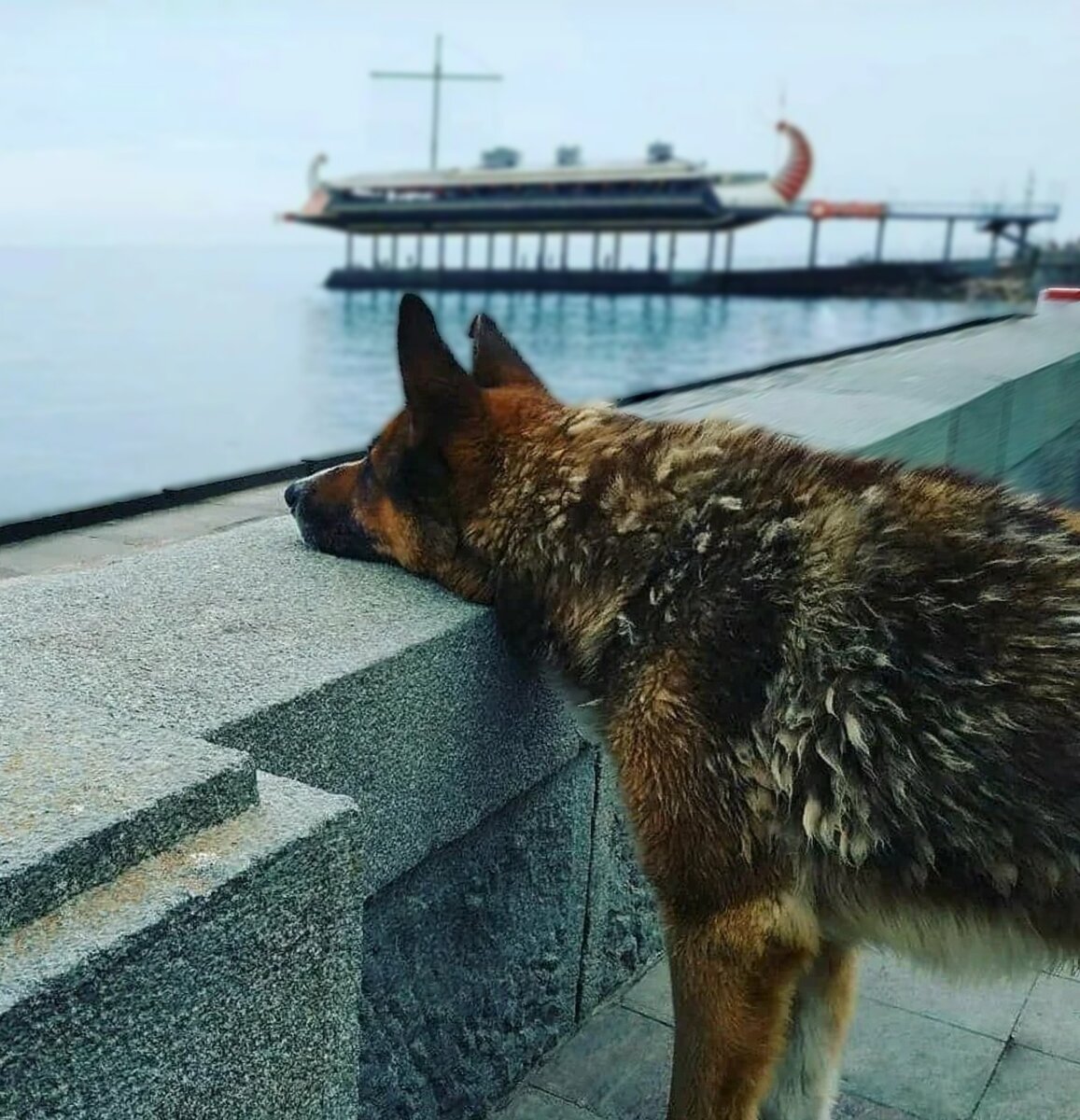 То жарко то холодно. Рекомендации при жаре. Причины аномальной жары. Почему все время жарко. Памятка от жары.