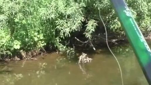 Малыш съедает 600 грамм варенья за 6 минут. Часы минутная и часовая стрелки. Малыш может съесть 600 грамм варенья за 6 минут а карлсон. Какую часть часа составляет 10 минут. 3 6 минут.