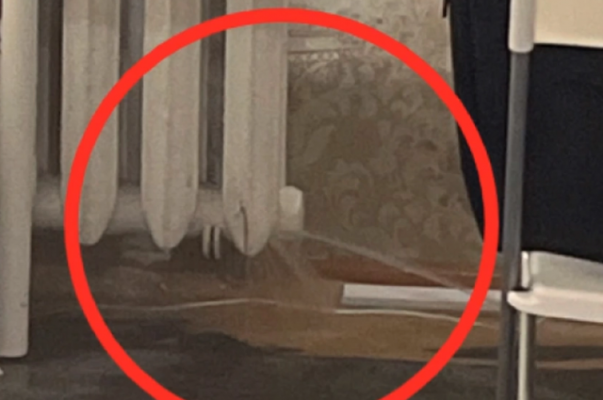    В общежитии новосибирского института произошел потоп в новогодние праздники