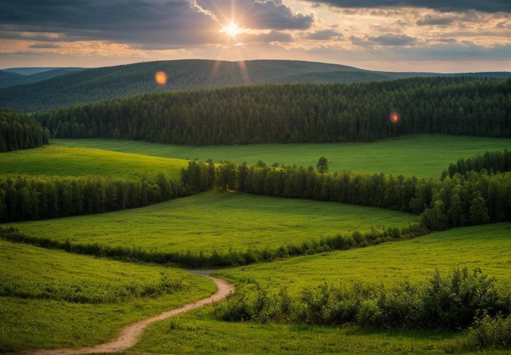 Луг фото Луг фото