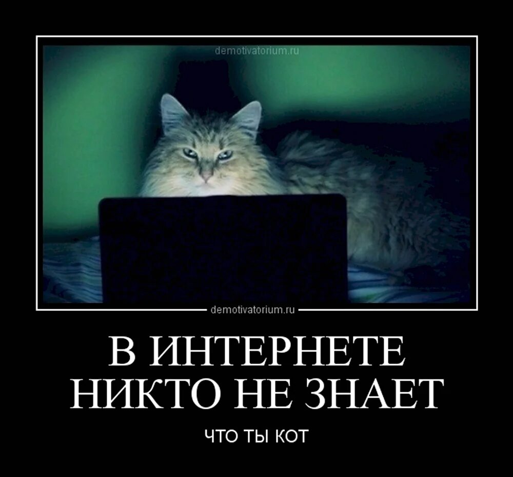 Ютуб пока никто не знает. В интернете никто не знает: что ты ко т. Никто не знает что ты кот. В интернете никто не знает что ты кот. Кот демотиватор.