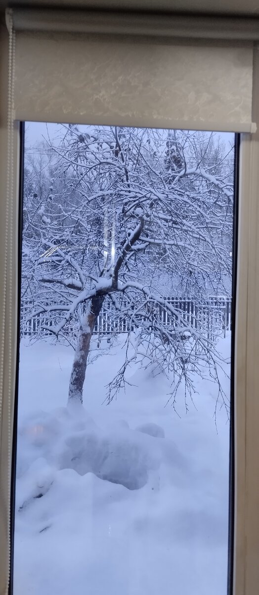 Окно в столовой