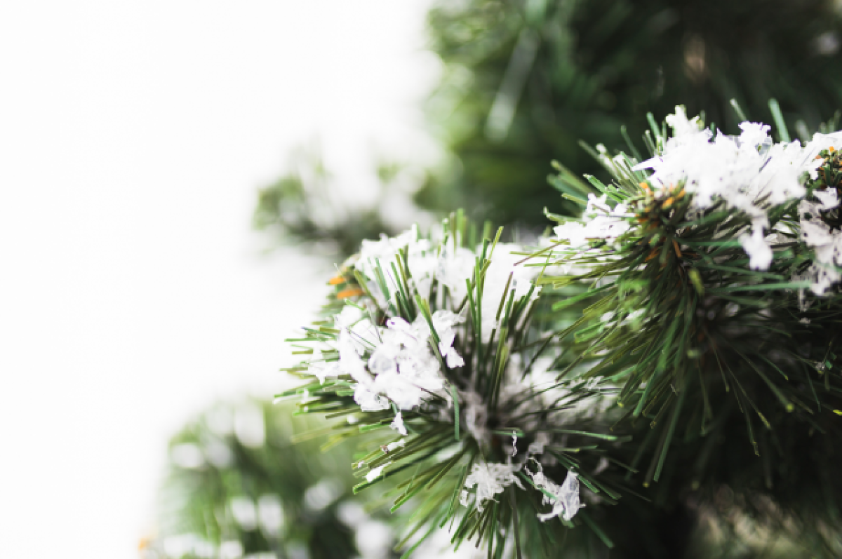    Небольшой снег прогнозируется в Псковской области 6 января