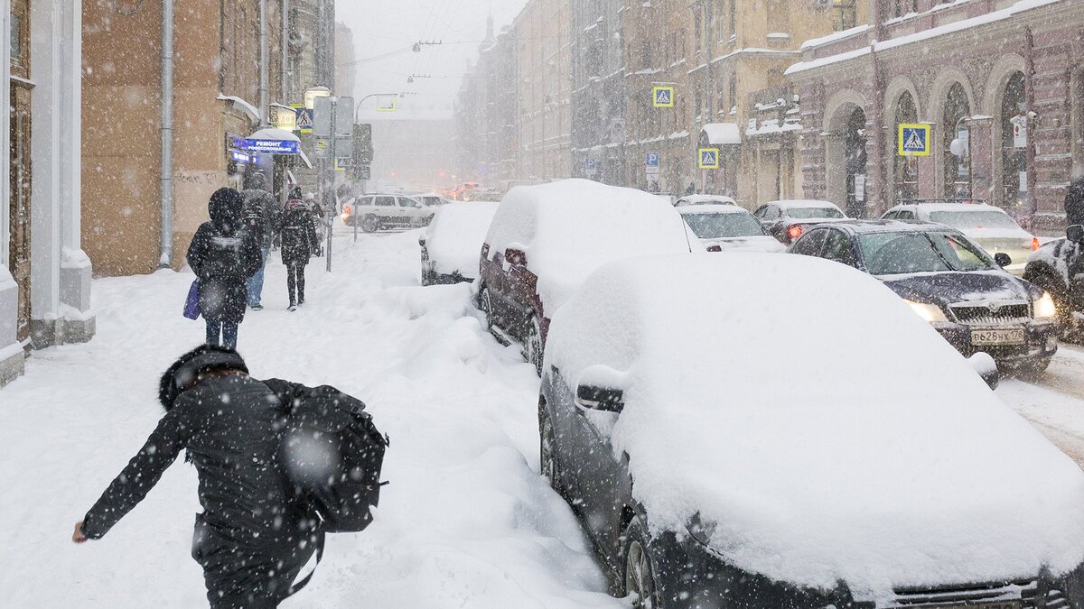 © Форпост Северо-Запад / Павел Долганов