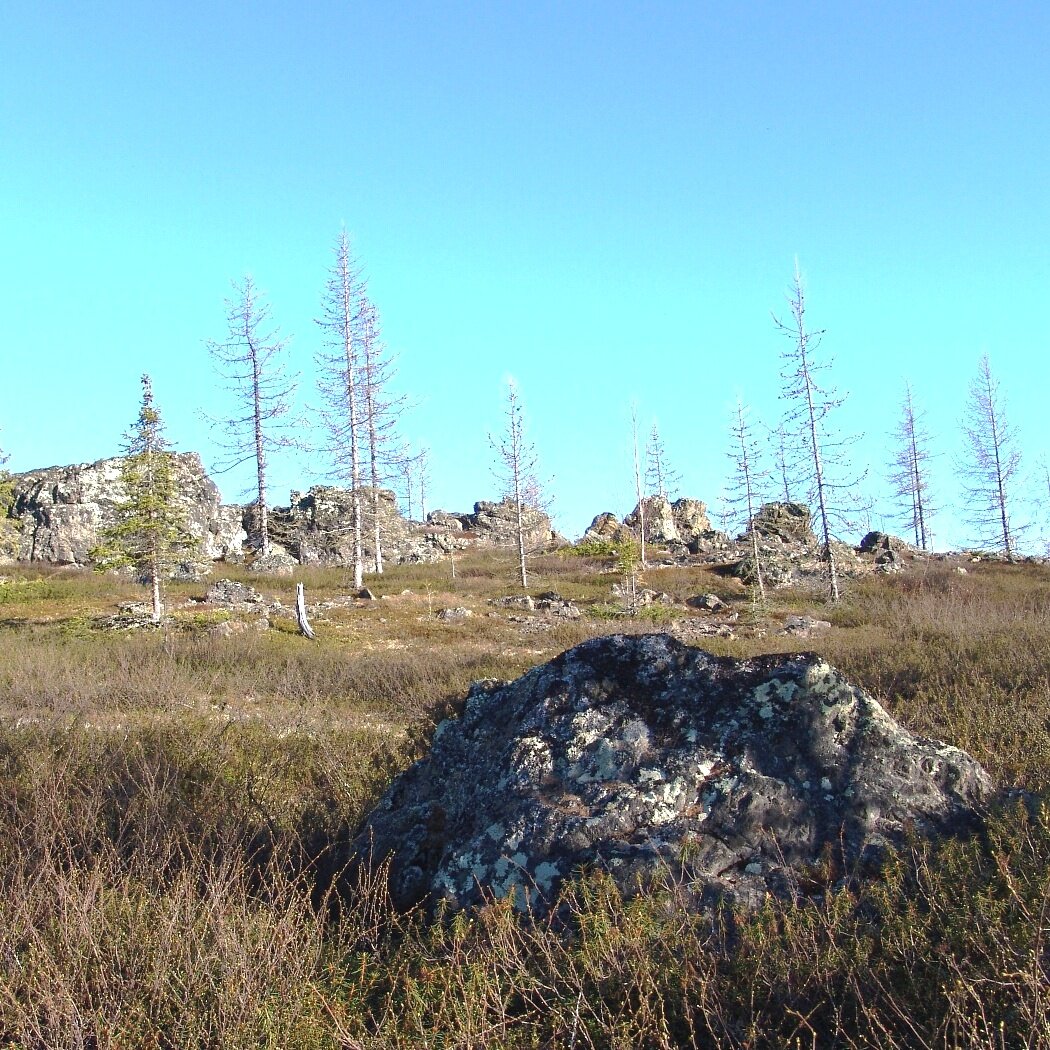 ясно но редко