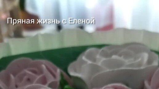 Жить 1 год
