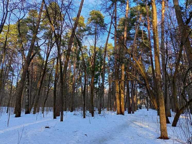     Фото: архив "МК в Калуге"