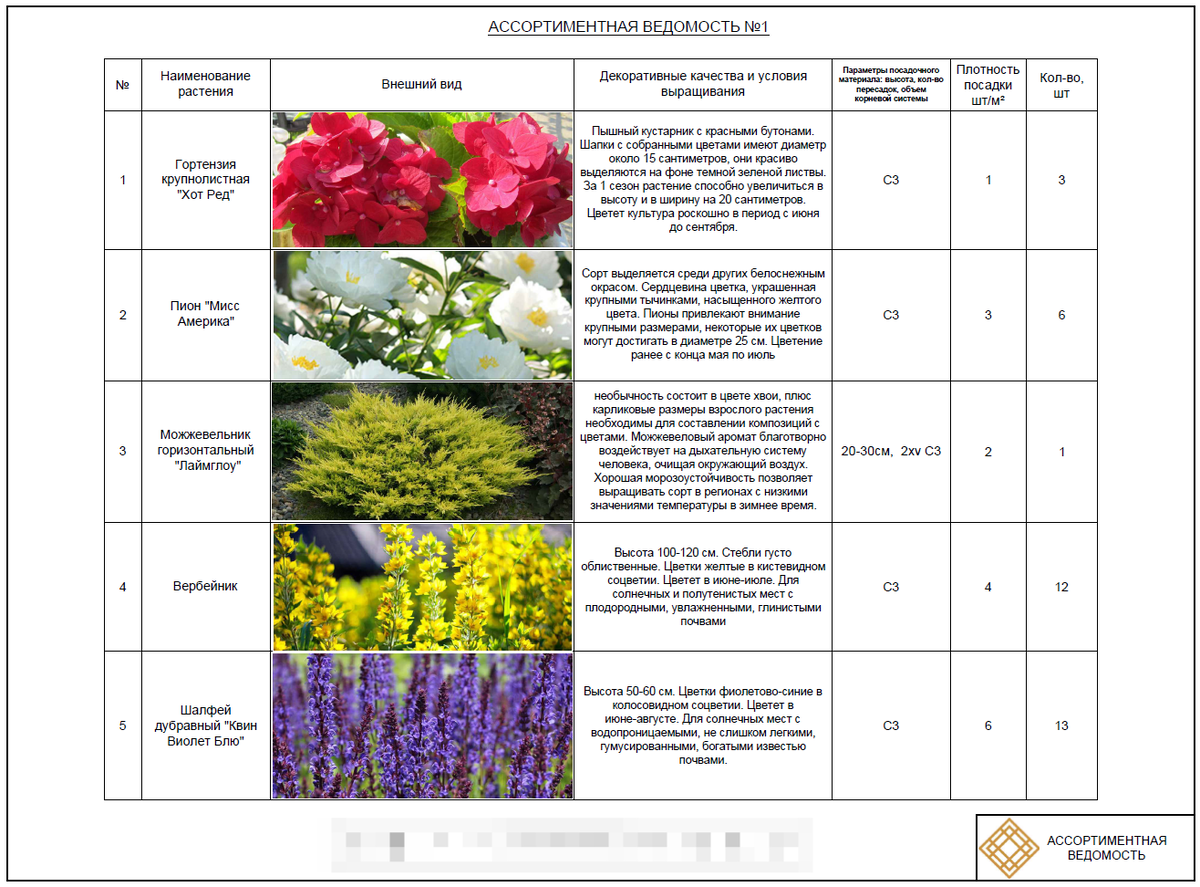 Северск клумбы. Клумба 21. Фестиваль цветов в александровском саду спб 2021. Клумба 21. Цветочные клумбы.