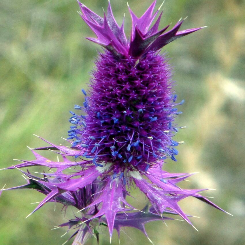 Фото из Интернета