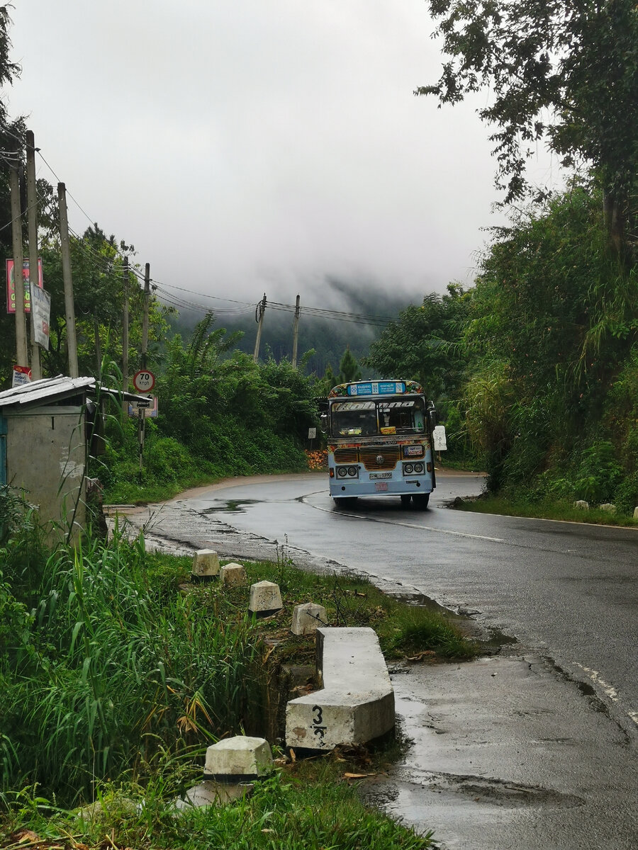 Дорога из Эллы в Нувара Эллия и один из местных бешеных автобусов, часто несущихся по встречке