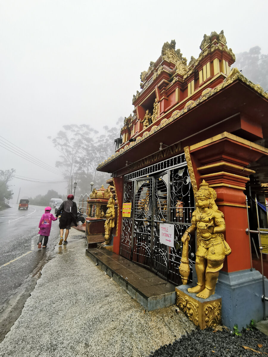 И даже в этот ливень. Осень дождь тоска. Цитаты про позитив в жизни. Статусы про дождь. Счастья в дождливый день.